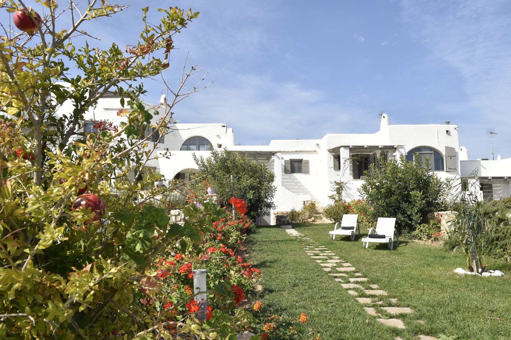 Naoussa Hills Boutique Resort- Adults Only Páros Eksteriør bilde